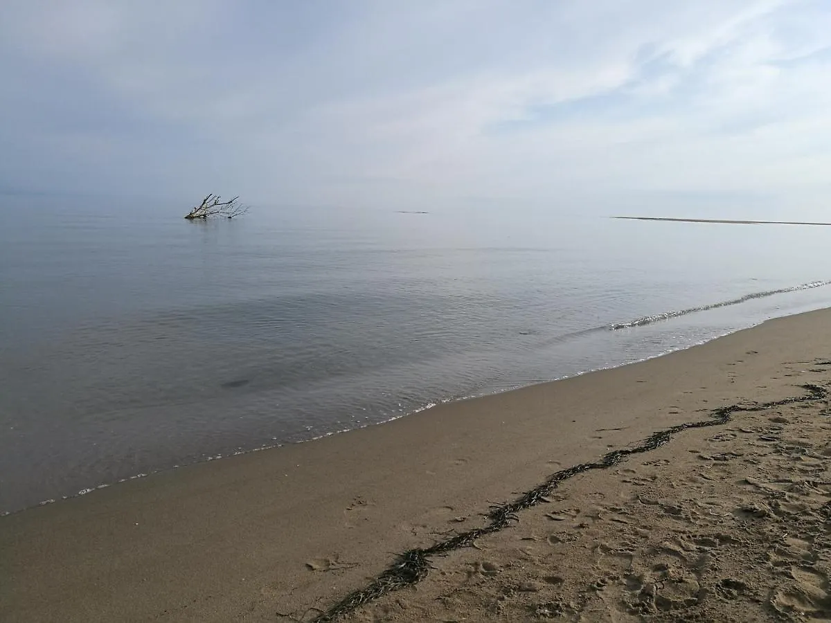 Primera línea de playa Deltebre 0*,
